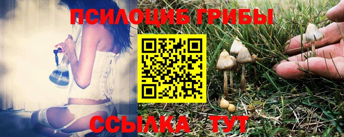Псилоцибиновые грибы мухоморы Лесозаводск